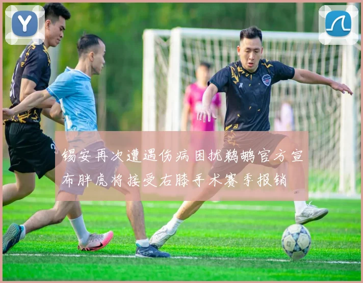 锡安再次遭遇伤病困扰鹈鹕官方宣布胖虎将接受右膝手术赛季报销