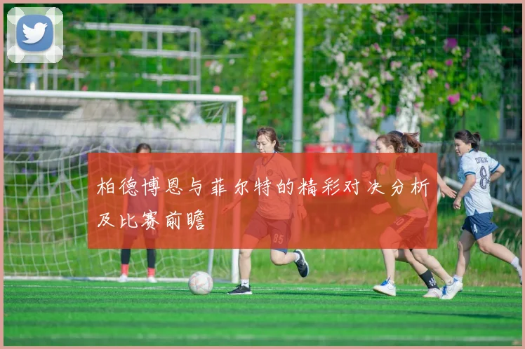 柏德博恩与菲尔特的精彩对决分析及比赛前瞻