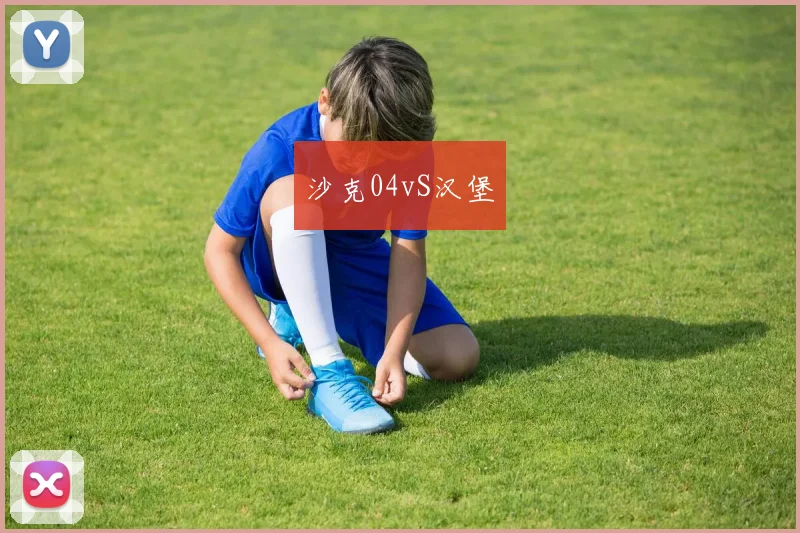 沙克04vS汉堡