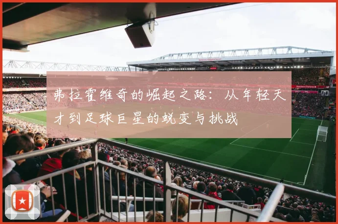 弗拉霍维奇的崛起之路：从年轻天才到足球巨星的蜕变与挑战
